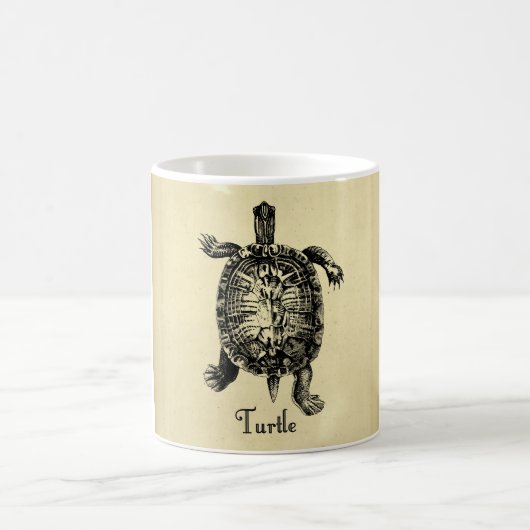 TURTLE KOFFIEMOK (Center)