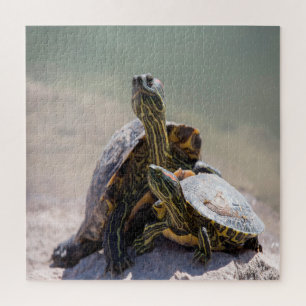 Turtle Love Legpuzzel