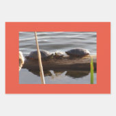 Turtle Lover Wrapping Paper Flat Shts Set of 3 (Voorkant 2)