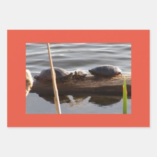 Turtle Lover Wrapping Paper Flat Shts Set of 3 (Voorkant 2)