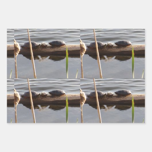 Turtle Lover Wrapping Paper Flat Shts Set of 3 (Voorkant)