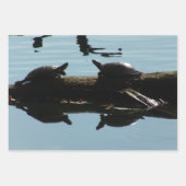 Turtle Lover Wrapping Paper Flat Shts Set of 3 (Voorkant 2)