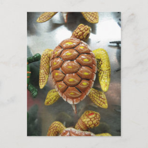 Turtle Magnet Briefkaart