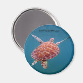 Turtle Magnet Magneet (Voorkant / Achterkant)