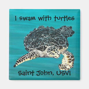 Turtle magnet magneet