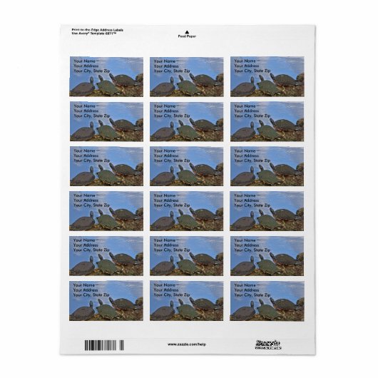 Turtle Mailing Label (Full Sheet)