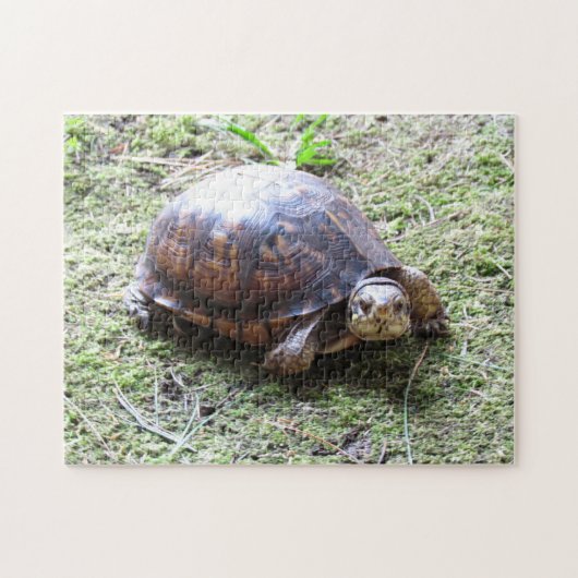 Turtle - Mossy Path Legpuzzel (Horizontaal)