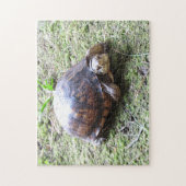 Turtle - Mossy Path Legpuzzel (Verticaal)