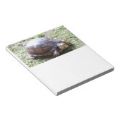 Turtle - Mossy Path Notitieblok (Schuin)