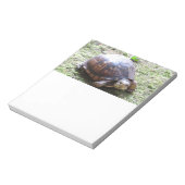 Turtle - Mossy Path Notitieblok (Gedraaid)