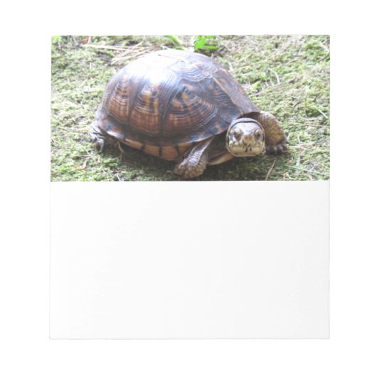 Turtle - Mossy Path Notitieblok (Voorkant)