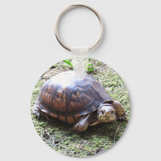 Turtle - Mossy Path Sleutelhanger (Voorkant)