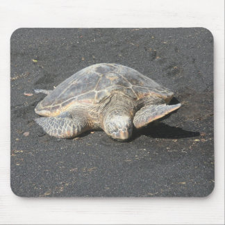 Turtle Mousepad Muismat