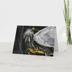 Turtle Notecard Kaart