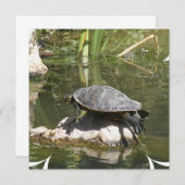 Turtle on a Rock Invitation Kaart (Voorkant / Achterkant)