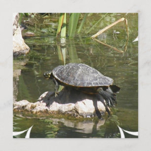 Turtle on a Rock Invitation Kaart