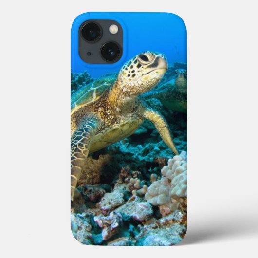 Turtle Pair Case-Mate iPhone Case (Achterkant)