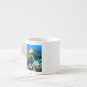 Turtle Pair Espresso Kop