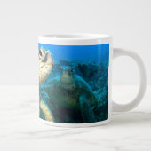 Turtle Pair Extra Grote Beker (Rechts)