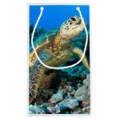 Turtle Pair Klein Cadeauzakje (Achterkant)