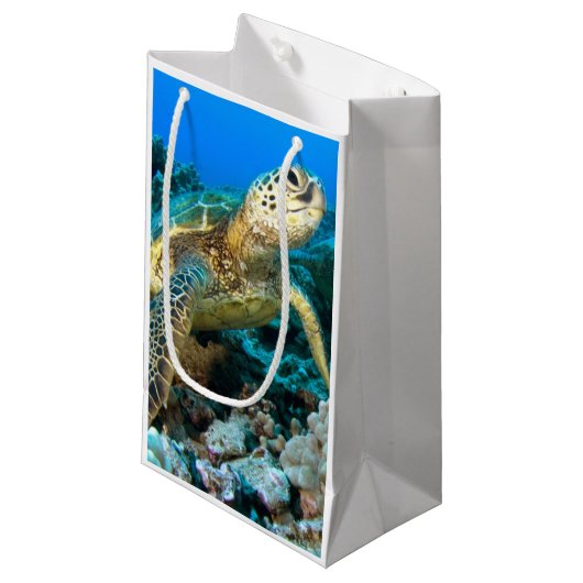Turtle Pair Klein Cadeauzakje (Voorkant Gekanteld)