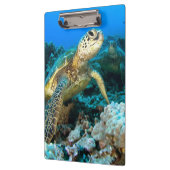 Turtle Pair Klembord (Links)