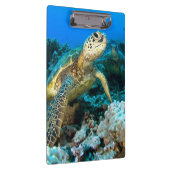 Turtle Pair Klembord (Rechts)