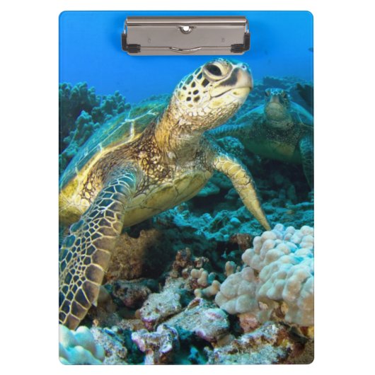 Turtle Pair Klembord (Voorkant)