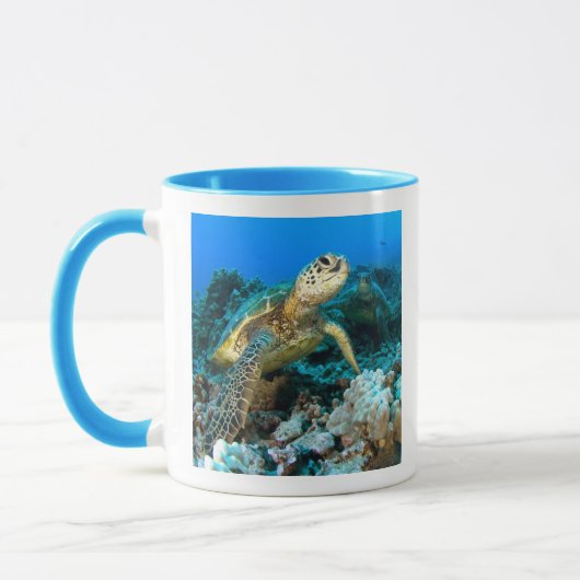 Turtle Pair Mok (Links)