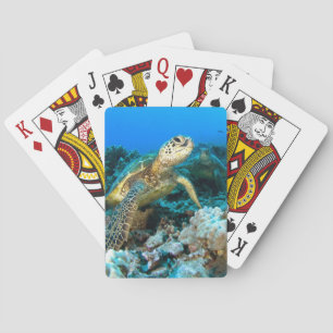 Turtle Pair Pokerkaarten