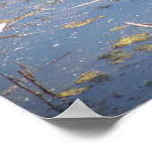 Turtle Photo Poster (Hoek)