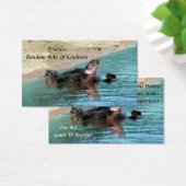 Turtle Random Acts of Kindness Kaart (Bureau)