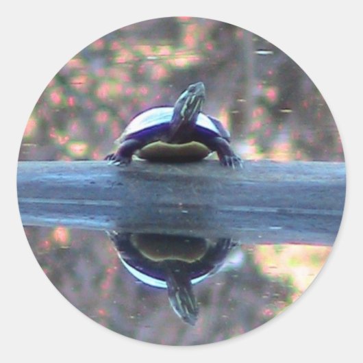 Turtle Reflections Sticker (Voorkant)