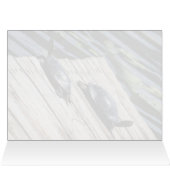 Turtle Rest (Binnen Horizontaal (Boven))