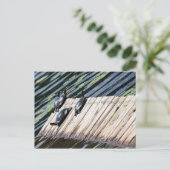 Turtle Rest Briefkaart (Staand voorkant)