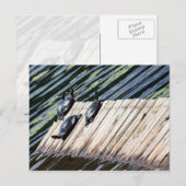 Turtle Rest Briefkaart (Voorkant / Achterkant)