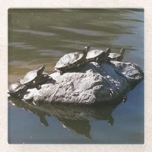 Turtle Rock Glazen Onderzetter (Voorkant)