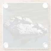 Turtle Rock Glazen Onderzetter (Achterkant)