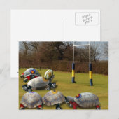 Turtle Rugby Briefkaart (Voorkant / Achterkant)