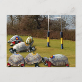 Turtle Rugby Briefkaart