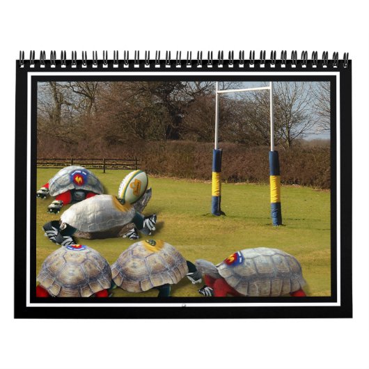 Turtle Rugby Kalender (Hoes)