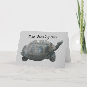 Turtle Slow Down Wenskaart Kaart