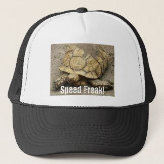 Turtle, Speed Freak! Trucker Pet