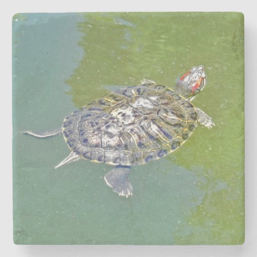 TURTLE Stone Onderzetter (Voorkant)