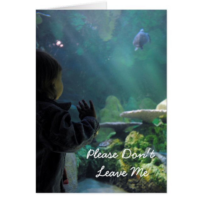 Turtle Tank Viewer (Voorkant)