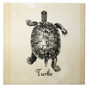  TURTLE TEGELTJE