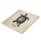  TURTLE TEGELTJE (Zijkant)