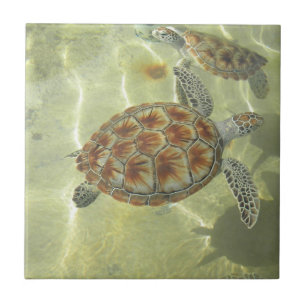 Turtle Tile Tegeltje