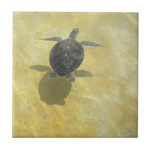 Turtle Tile Tegeltje (Voorkant)