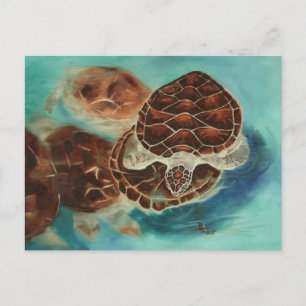 Turtle Time Briefkaart